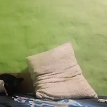 kaland69 online show from November 9, 9:24 pm