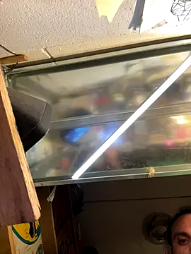 Snapshot of spino24 chatting on September 28, 10:26 pm spino24 online show from September 28, 10:26 pm