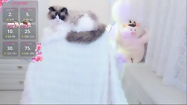 Coco-Di online show from May 9, 1:44 am