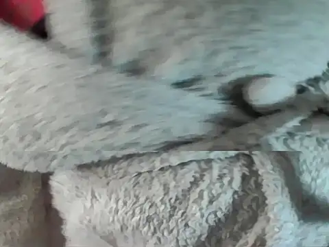 Blacksashaxx online show from July 6, 9:28 am