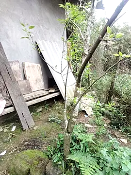 zhen-zo online show from March 19, 1:20 am