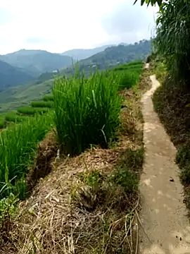 Snapshot of nhinhi-sexy chatting on October 10, 5:39 am nhinhi-sexy online show from October 10, 5:39 am