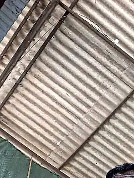 Snapshot of Shivaniamol1815 chatting on February 7, 5:00 am Shivaniamol1815 online show from February 7, 5:00 am