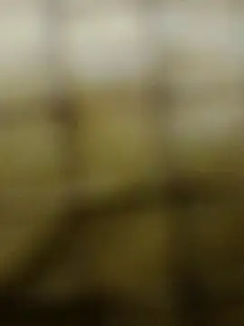 Rs sonam online show from December 3, 10:57 am