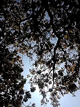 Rs sonam online show from March 7, 5:26 am