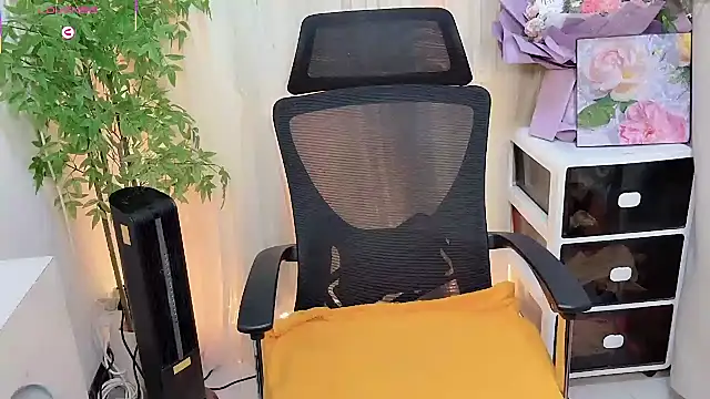 NEWONETO online show from February 4, 12:55 pm