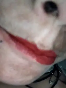 Snapshot of Na_shreya chatting on February 1, 3:21 pm Na shreya online show from February 1, 3:21 pm