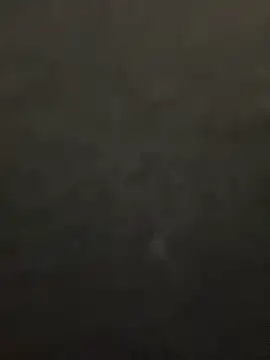 Snapshot of lee_ly chatting on December 15, 11:36 am lee ly online show from December 15, 11:36 am