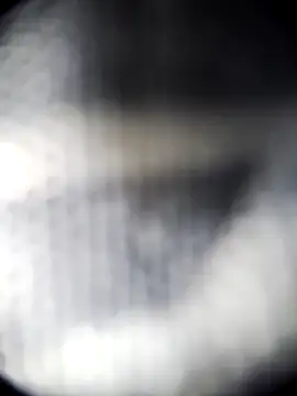 Snapshot of Blanquitakchera chatting on December 21, 5:58 am Blanquitakchera online show from December 21, 5:58 am