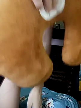 Snapshot of BiCute688 chatting on November 1, 4:31 pm BiCute688 online show from November 1, 4:31 pm