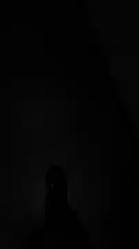 tia   fox online show from November 24, 7:41 am