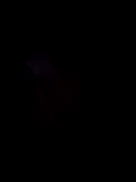 DeeBestEver online show from October 22, 2:39 pm