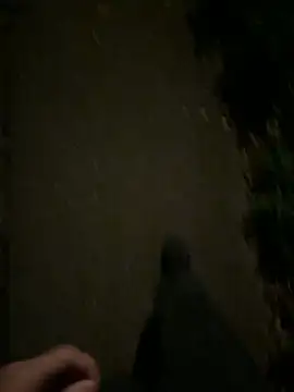 Snapshot of ncjuice_ chatting on October 31, 10:00 pm ncjuice online show from October 31, 10:00 pm