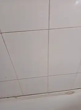 Snapshot of PhoningTint chatting on October 12, 3:22 pm PhoningTint online show from October 12, 3:22 pm