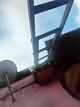 Jg135667 online show from November 27, 11:01 am