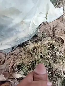 Sikici0734 online show from October 8, 6:44 am