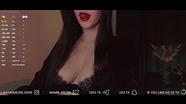 Snapshot of Mamiemeow chatting on January 22, 3:29 pm Mamiemeow online show from January 22, 3:29 pm