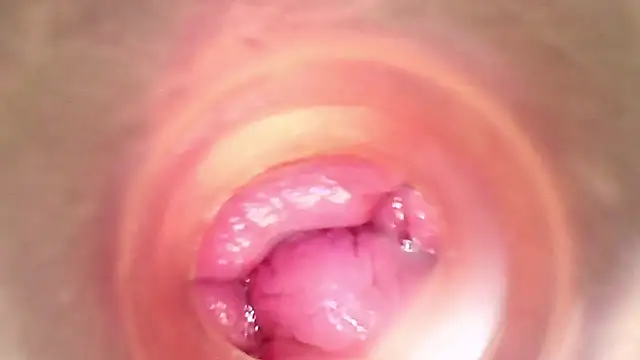 shannon kinne  online show from March 29, 5:46 pm