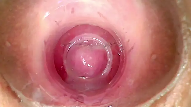 shannon kinne  online show from April 1, 2:25 pm