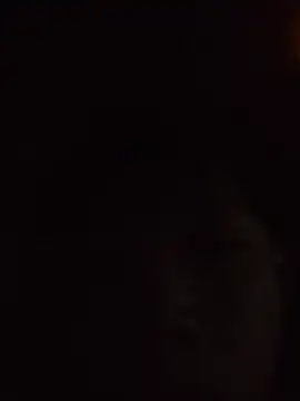 Snapshot of aooya chatting on November 28, 1:47 pm aooya online show from November 28, 1:47 pm