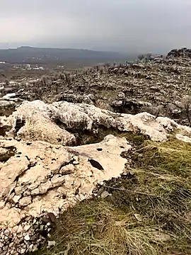 Snapshot of Sert_erkek21_ysm chatting on February 2, 10:03 am Sert erkek21 ysm online show from February 2, 10:03 am