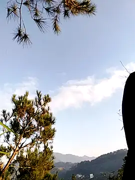 sumaybae online show from November 22, 12:20 am