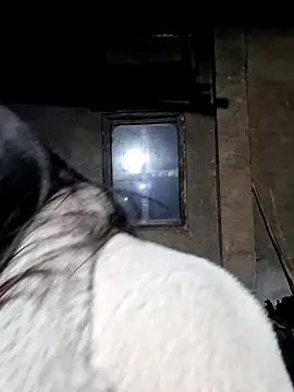 miomio-12 online show from February 27, 12:49 pm