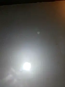 Snapshot of T1T012 chatting on February 13, 1:34 am T1T012 online show from February 13, 1:34 am