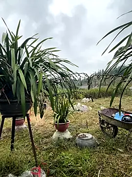 miemie-xx online show from November 17, 1:11 am