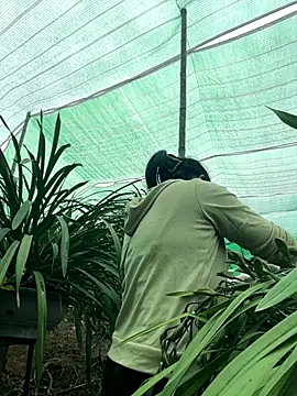 miemie-xx online show from January 8, 7:43 am