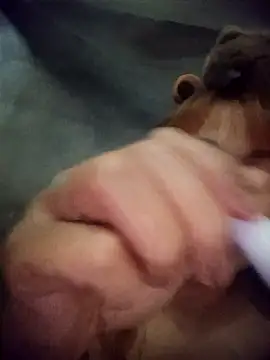 Rabbit-small online show from March 20, 4:12 pm