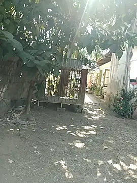 SL BEAR online show from March 26, 4:18 am