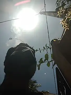 SL BEAR online show from April 19, 6:46 am