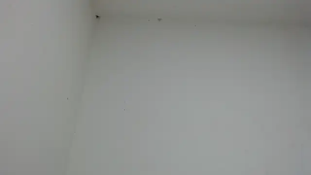 Snapshot of drako_monster chatting on January 17, 10:46 pm drako monster online show from January 17, 10:46 pm