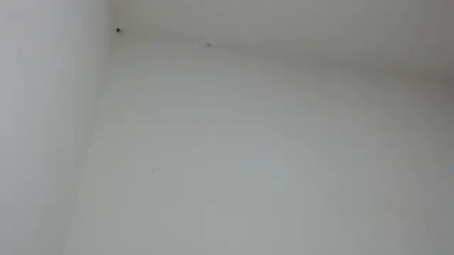 Snapshot of drako_monster chatting on January 31, 9:46 pm drako monster online show from January 31, 9:46 pm