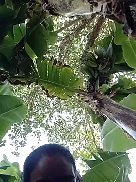 Co punam online show from April 1, 8:26 am