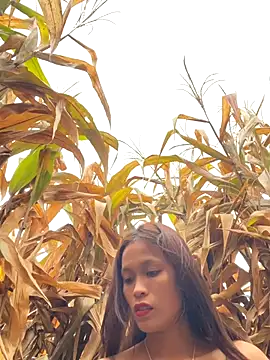 hi-hi-zz online show from December 18, 1:55 am