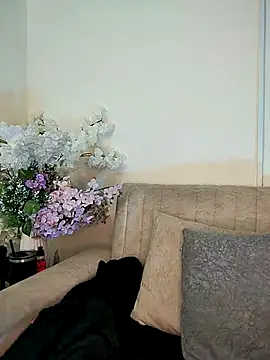 Kiaraa88 online show from February 3, 11:15 am