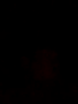 sants13 online show from October 31, 9:49 pm