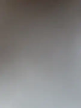 mamtasingh12 online show from November 19, 3:50 am