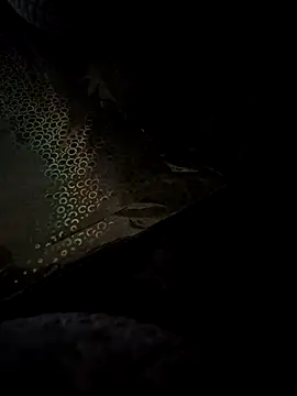 crawlerdrill online show from May 24, 9:14 am