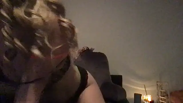 wet alleycat online show from May 15, 6:42 am