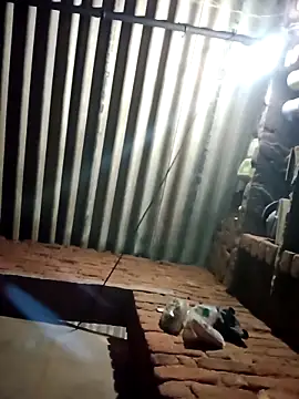 Snapshot of M-MAYA chatting on February 19, 4:47 pm M-MAYA online show from February 19, 4:47 pm