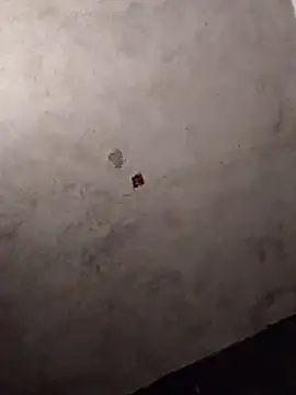 Orlao25cm online show from March 12, 8:37 pm