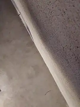 Orlao25cm online show from April 1, 2:14 pm