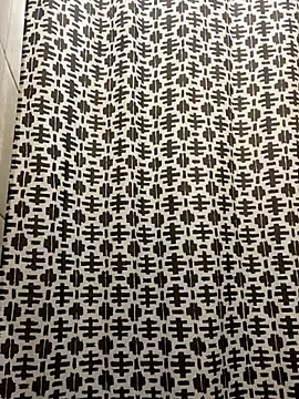 solodrive online show from November 14, 11:31 am