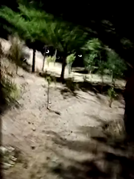 Labellasex online show from December 18, 4:40 am