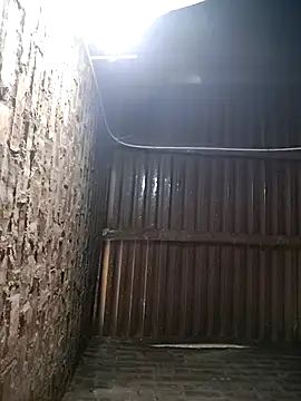 Bear bear0 online show from January 12, 12:38 am