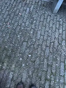 bart98geil online show from February 14, 6:54 am