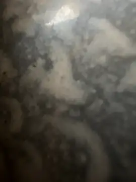 bart98geil online show from February 16, 7:26 am